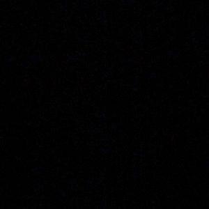 Meet your Posher, Dashawn